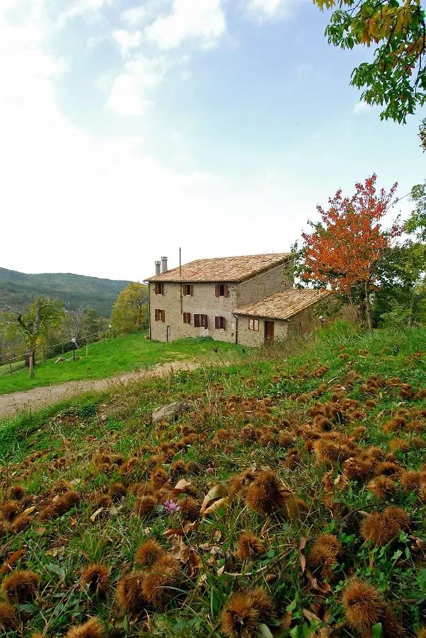 Agriturismo La Piaggia Appartamenti A Vivo dʼOrcia